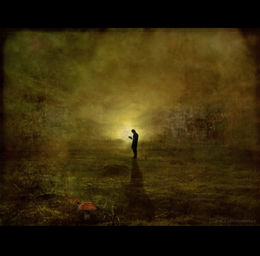 3969908944_e3fb23fd9d_o